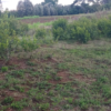 NANYUKI PRIME LAND ON SALE  2 ACRES FARMLAND FOR SALE IN NYARIGINU, DAIGA WITH A RIVER FRONTAGE